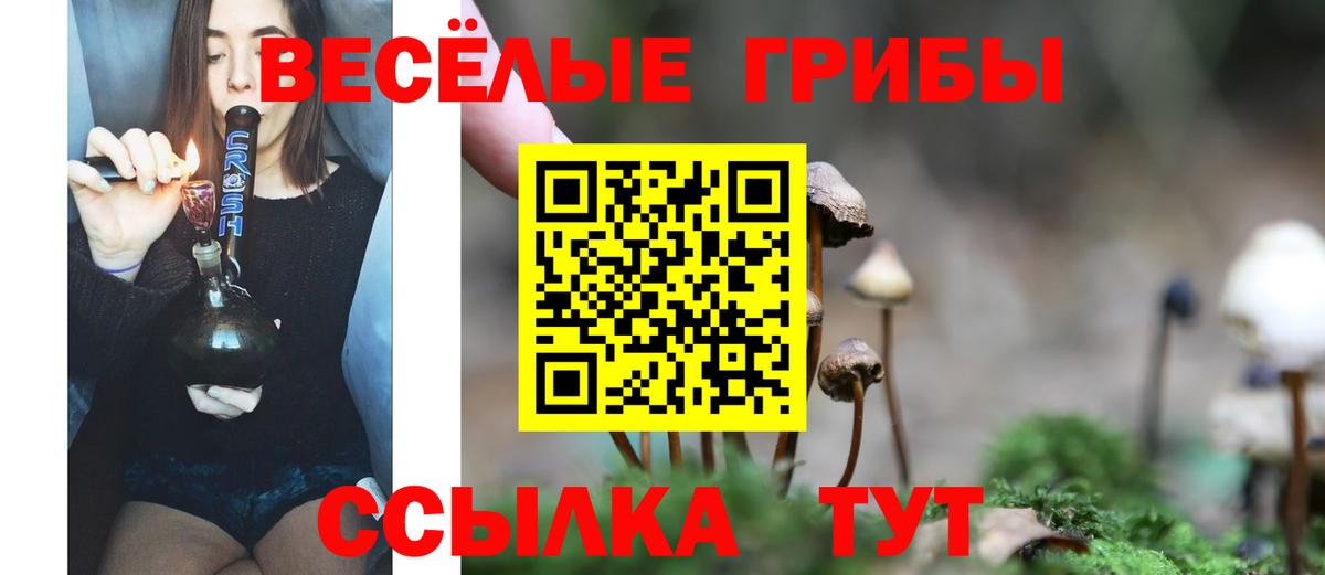 Псилоцибиновые грибы ЛСД Южно-Сахалинск